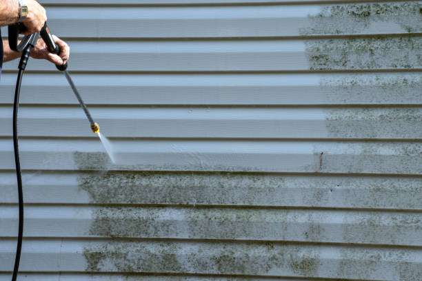 Best Same-Day Junk Removal Services  in Portage, IN